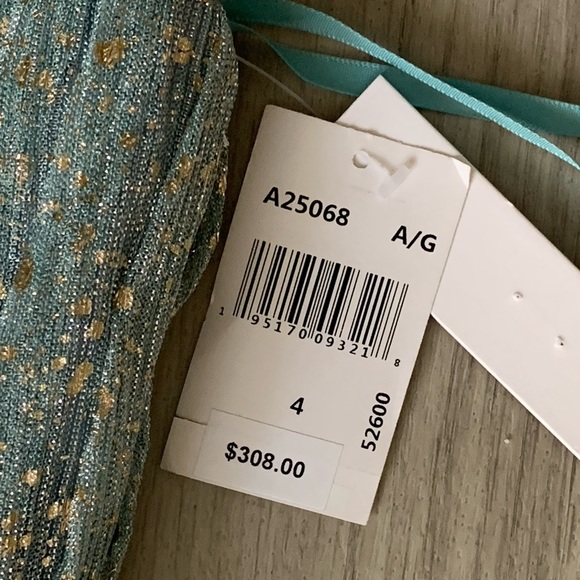 NWT AQUA Foil Fleck Crinkle Mesh Gown Exclusive Maxi Dress Size 4 - Picture 6 of 12